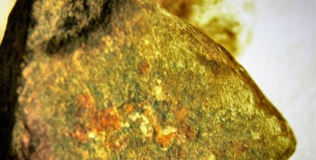 DSC02572картин (2).jpg