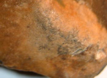 DSC02854.змей 2.jpg