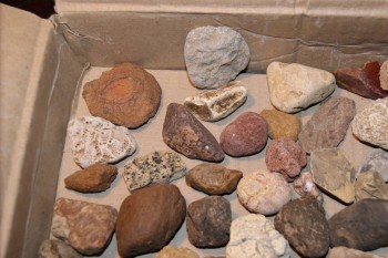 2016-07-17 07-35-06.JPG