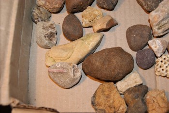 2016-07-17 07-36-48.JPG