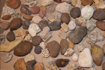 2016-07-17 07-36-00.JPG