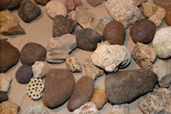 2016-07-17 07-36-34.JPG