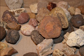 2016-07-17 07-37-22.JPG