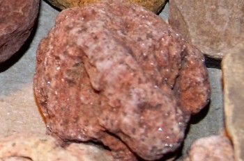 2016-07-17 07-35-06.нос.jpg