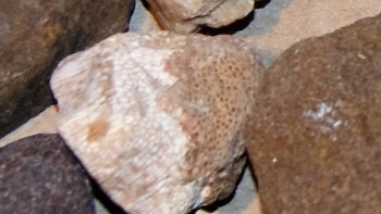 2016-07-17 07-36-00.город.jpg