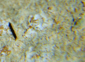 2016-05-25 08-40-02.полёт.jpg