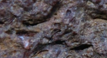 2016-07-28 10-43-56.значок4.jpg