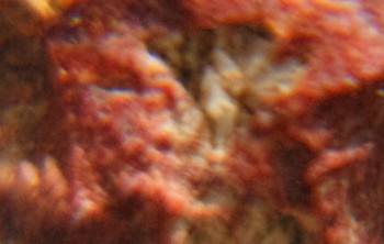 2016-05-25 12-42-08.Природные слепцы2.jpg