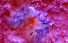 DSC02790.солнце (3).jpg