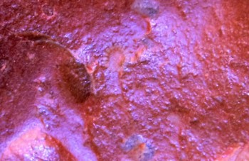 DSC02790.солнце (4).jpg