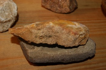 DSC03483.JPG