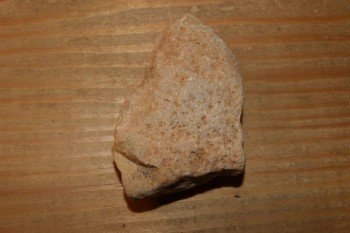DSC03485.JPG
