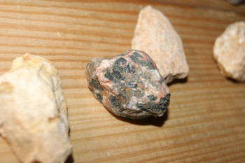 DSC03502.JPG