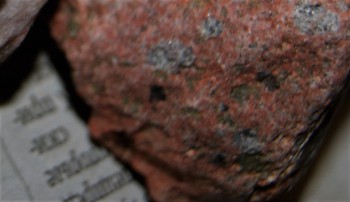 DSC03495.док19.jpg