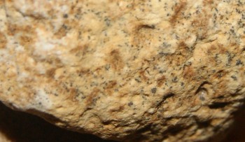 DSC03499.док23.jpg