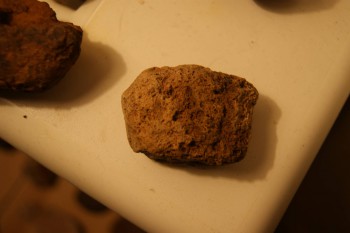 DSC03556.JPG