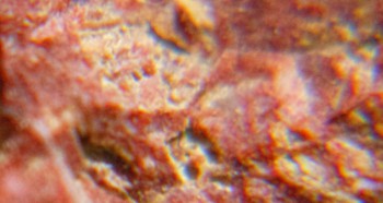 2016-05-25 12-42-28.природные слепцы.jpg