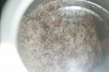 2016-11-30 14-10-04.JPG