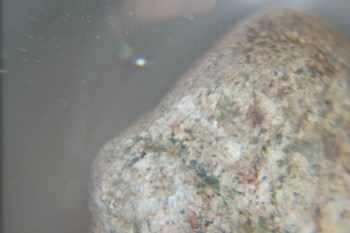 2016-11-30 14-10-42.JPG