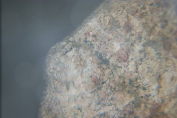 2016-11-30 14-11-10.JPG