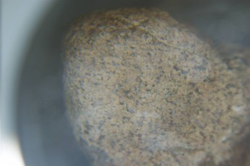 2016-11-30 14-11-50.JPG