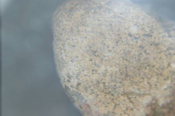 2016-11-30 14-12-18.JPG