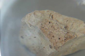 2016-11-30 14-15-12.JPG