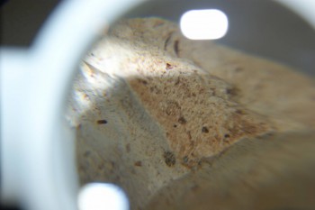 2016-11-30 14-16-18.JPG