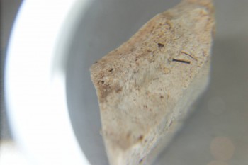 2016-11-30 14-17-34.JPG