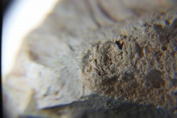 2016-11-30 15-26-06.JPG