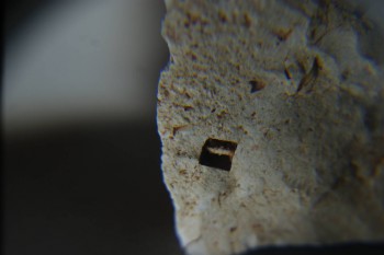 2016-11-30 15-27-34.JPG