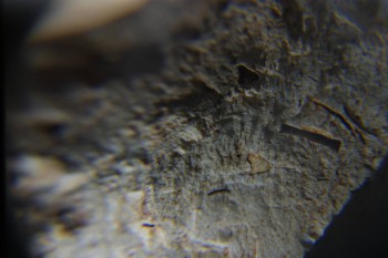 2016-11-30 15-29-46.JPG