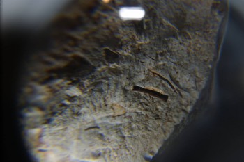 2016-11-30 15-30-08.JPG