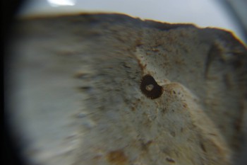 2016-11-30 15-30-46.JPG