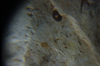 2016-11-30 15-31-38.JPG