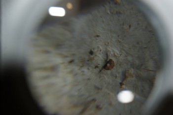 2016-11-30 15-32-44.JPG