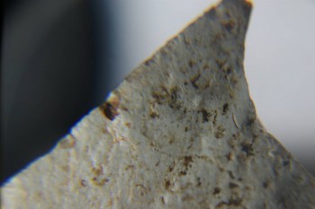 2016-11-30 15-35-56.JPG