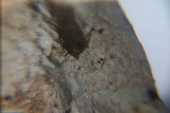 2016-11-30 15-41-20.JPG