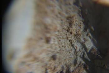 2016-11-30 15-42-08.JPG