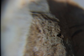 2016-11-30 15-42-32.JPG