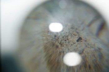 2016-11-30 15-44-36.JPG