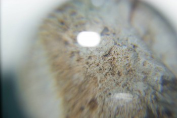 2016-11-30 15-44-46.JPG