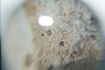 2016-11-30 15-44-56.JPG