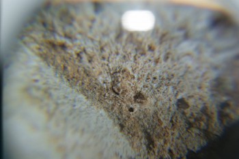 2016-11-30 15-45-16.JPG