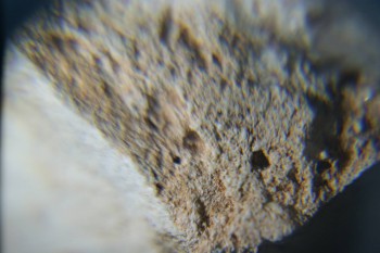 2016-11-30 15-46-08.JPG