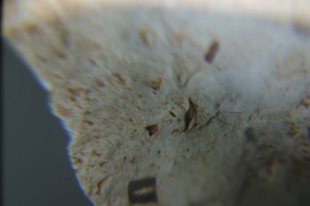 2016-11-30 15-46-54.JPG