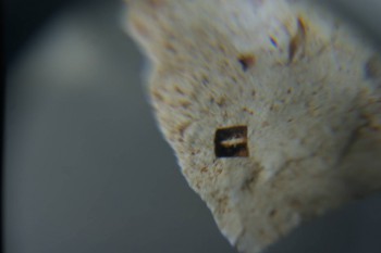 2016-11-30 15-47-24.JPG