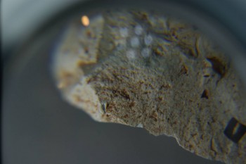 2016-11-30 15-48-58.JPG