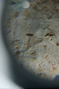 2016-11-30 15-49-42.JPG