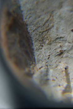 2016-11-30 15-49-54.JPG